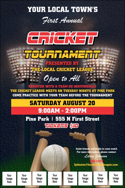 Cricket 2 Logo Poster